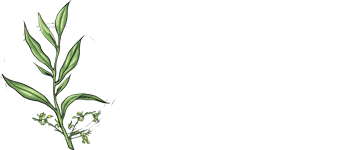 The Elakki Valley Eco Resorts logo