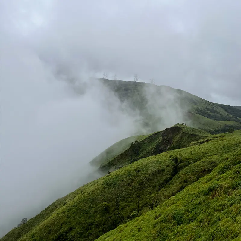 View from The Elakki Valley Eco Resorts